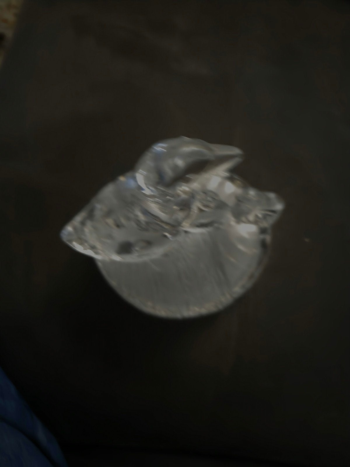 eenden in glas, Ophalen of Verzenden, Zo goed als nieuw, Dier