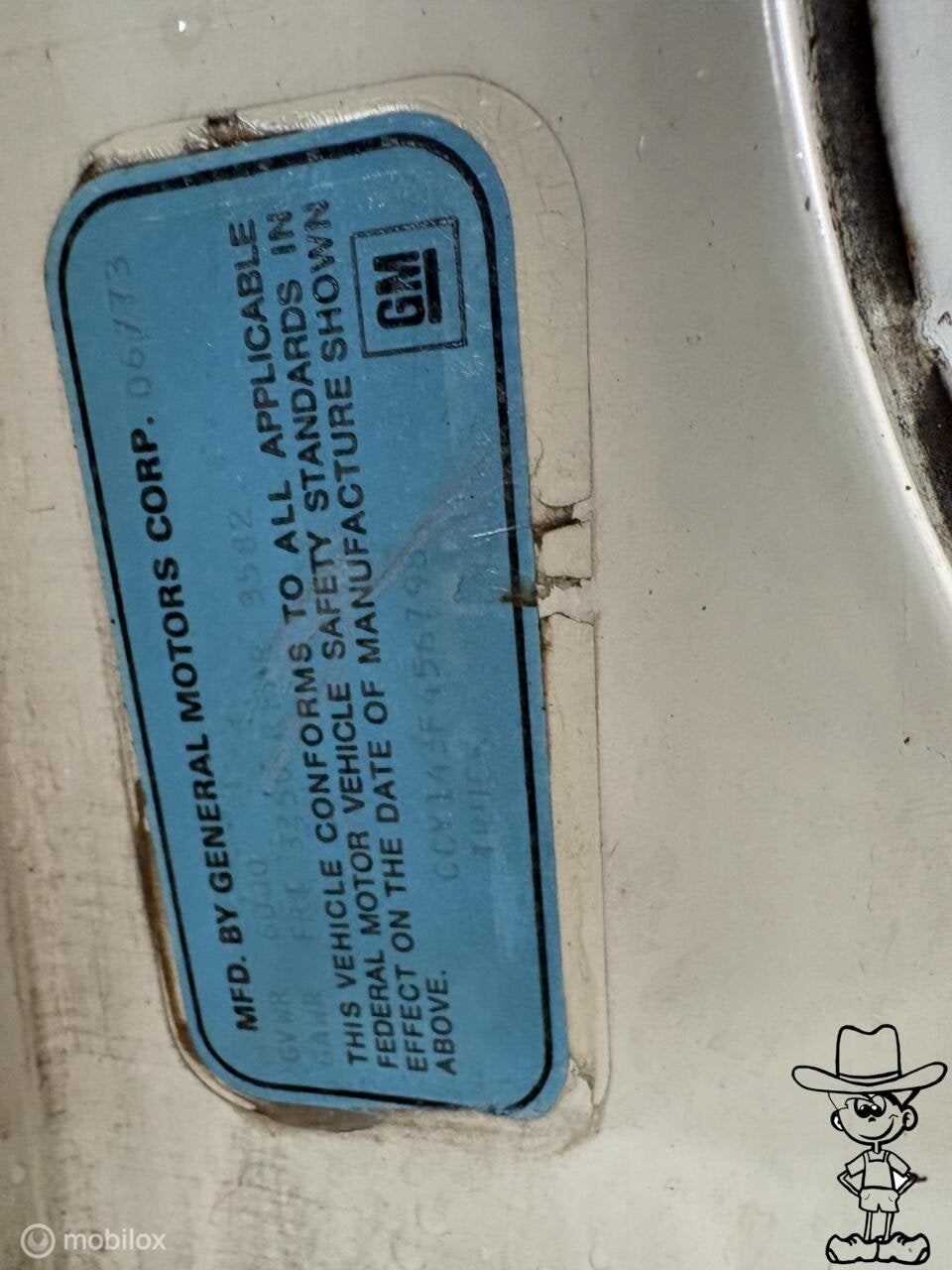 Chevrolet USA C10 Pick up v8 LPG, foto 8
