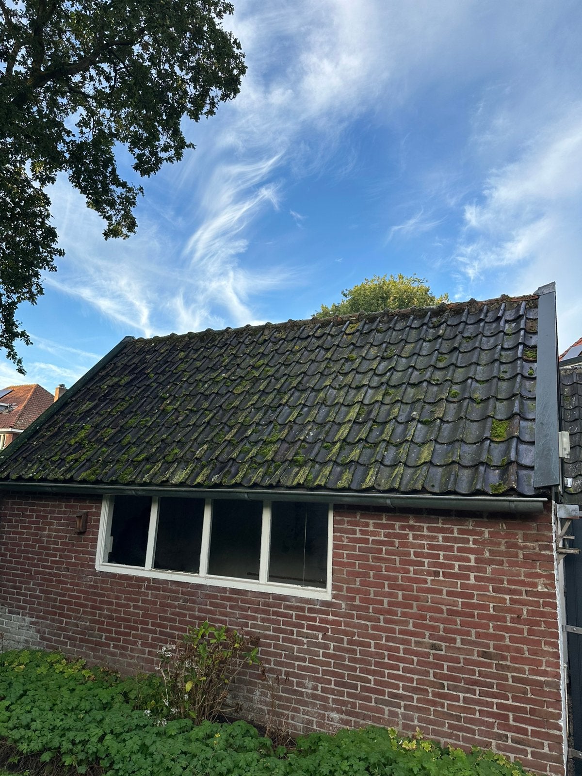 Dakpannen zeldzaam, Ophalen, Zo goed als nieuw