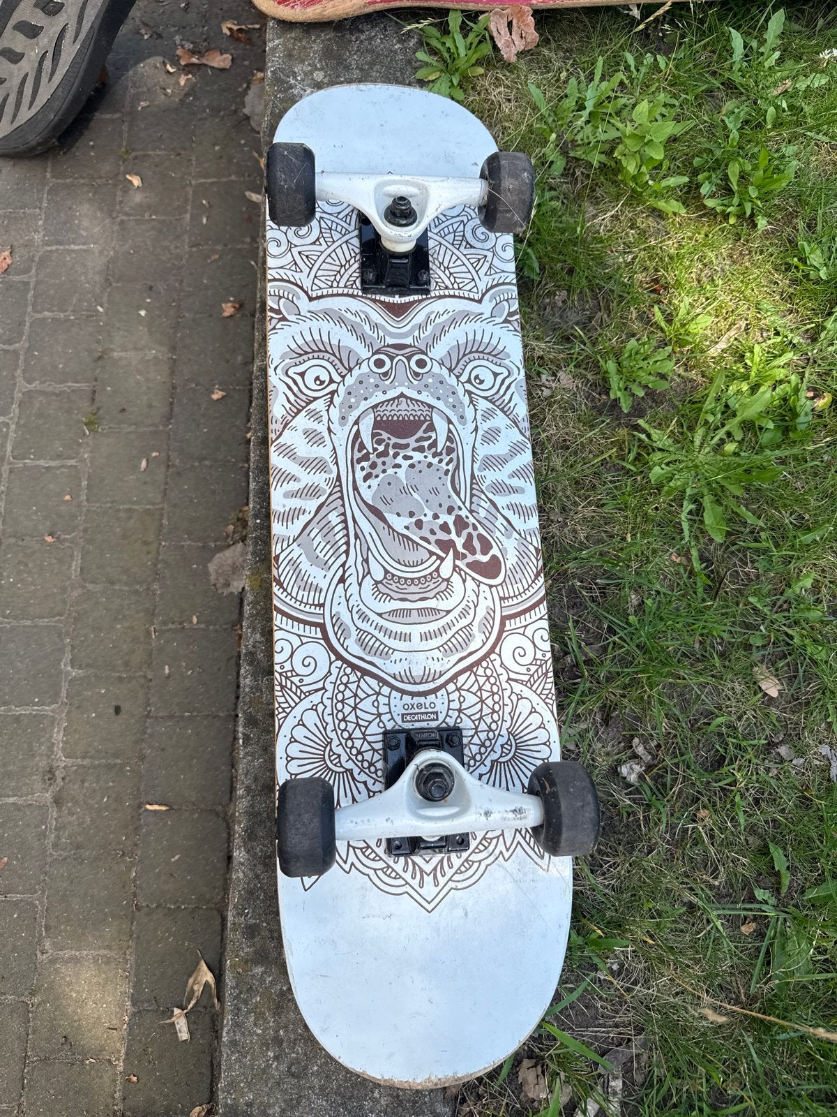 Skateboard met unieke beerprint - Oxelo, Ophalen, Gebruikt, Skateboard