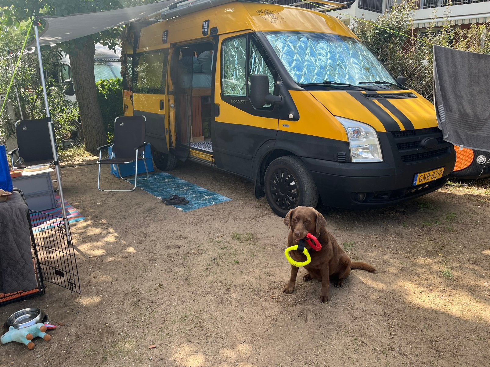 Te koop camperbus, Overige merken, Buscamper of Camperbus, Tot en met 2, Particulier