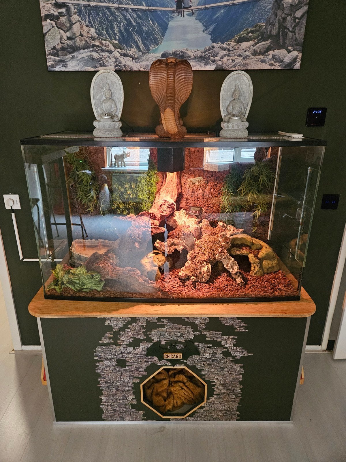 compleet terrarium met koppel 3 jarige piebald koningspython, Ophalen, Zo goed als nieuw, Terrarium of Paludarium