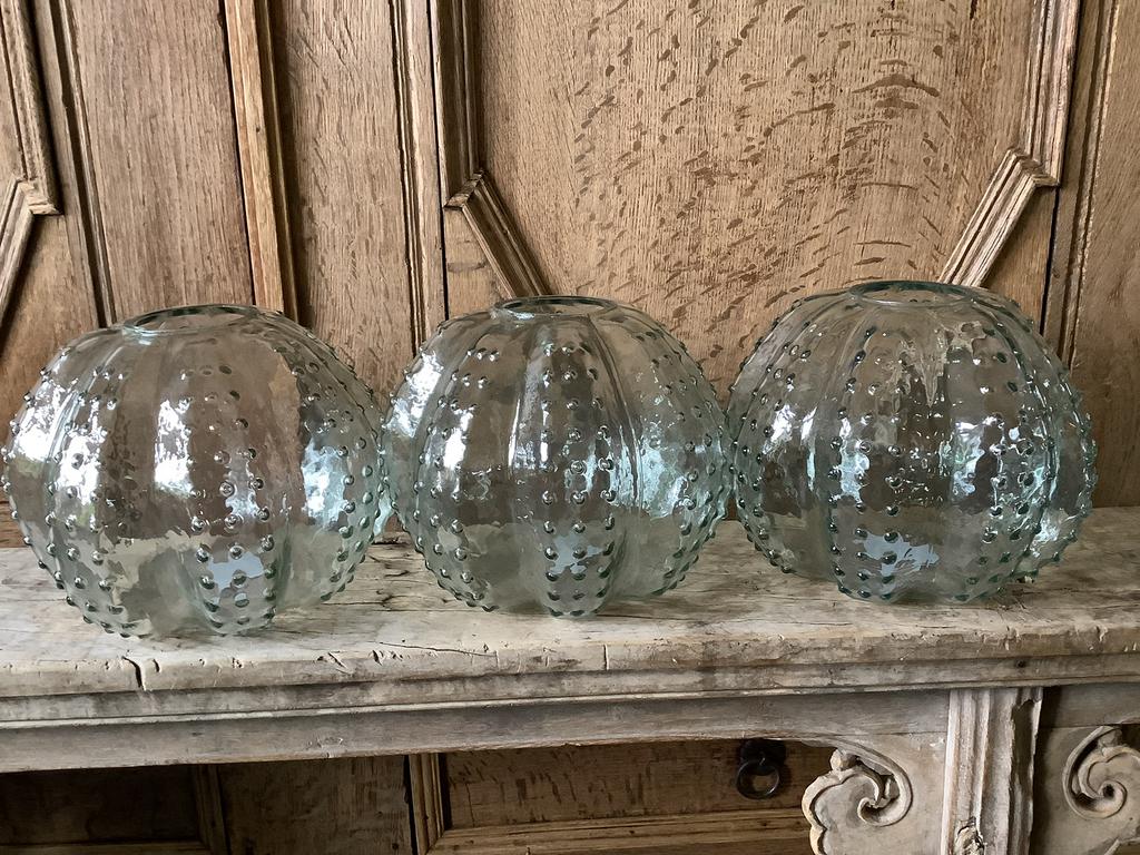 AANBIEDING glazen Countryfield cactus vaas vazen windlichten, Ophalen, Nieuw