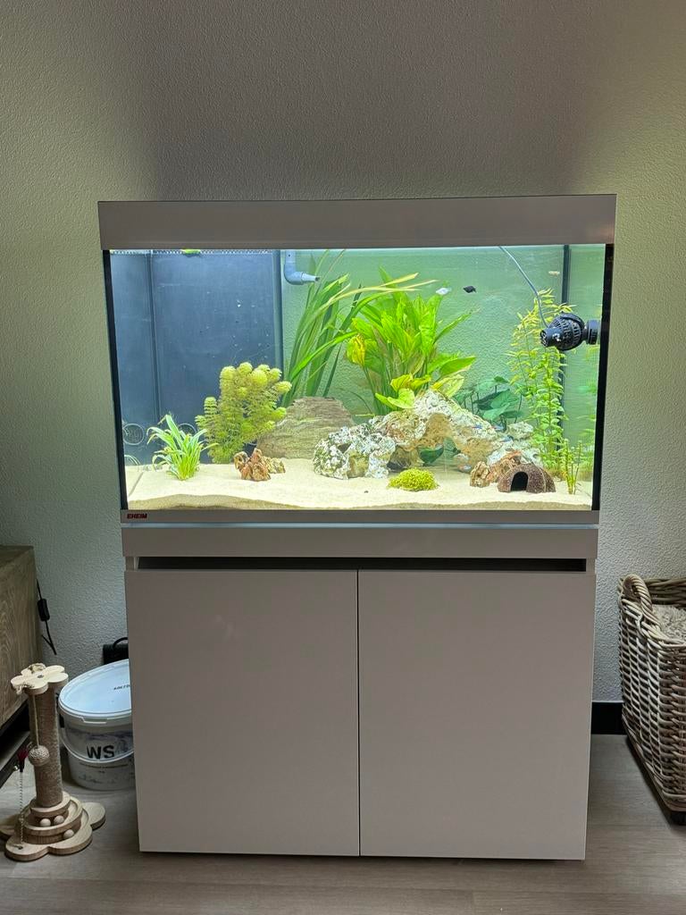 Eheim 330L marine aquarium, Dieren en Toebehoren, Vissen | Aquaria en Toebehoren, Ophalen of Verzenden, Zo goed als nieuw, Gevuld zoetwateraquarium