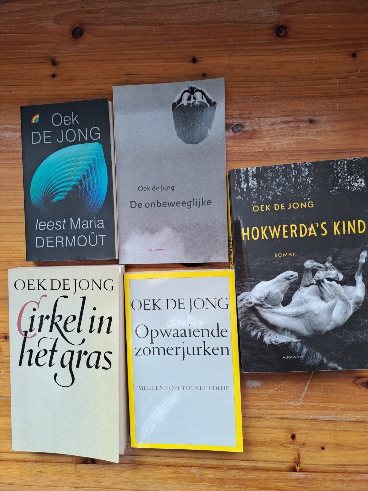 Boeken van Oek de Jong - Diverse titels, Boeken, Ophalen of Verzenden, Gelezen, Oek de Jong, Nederland