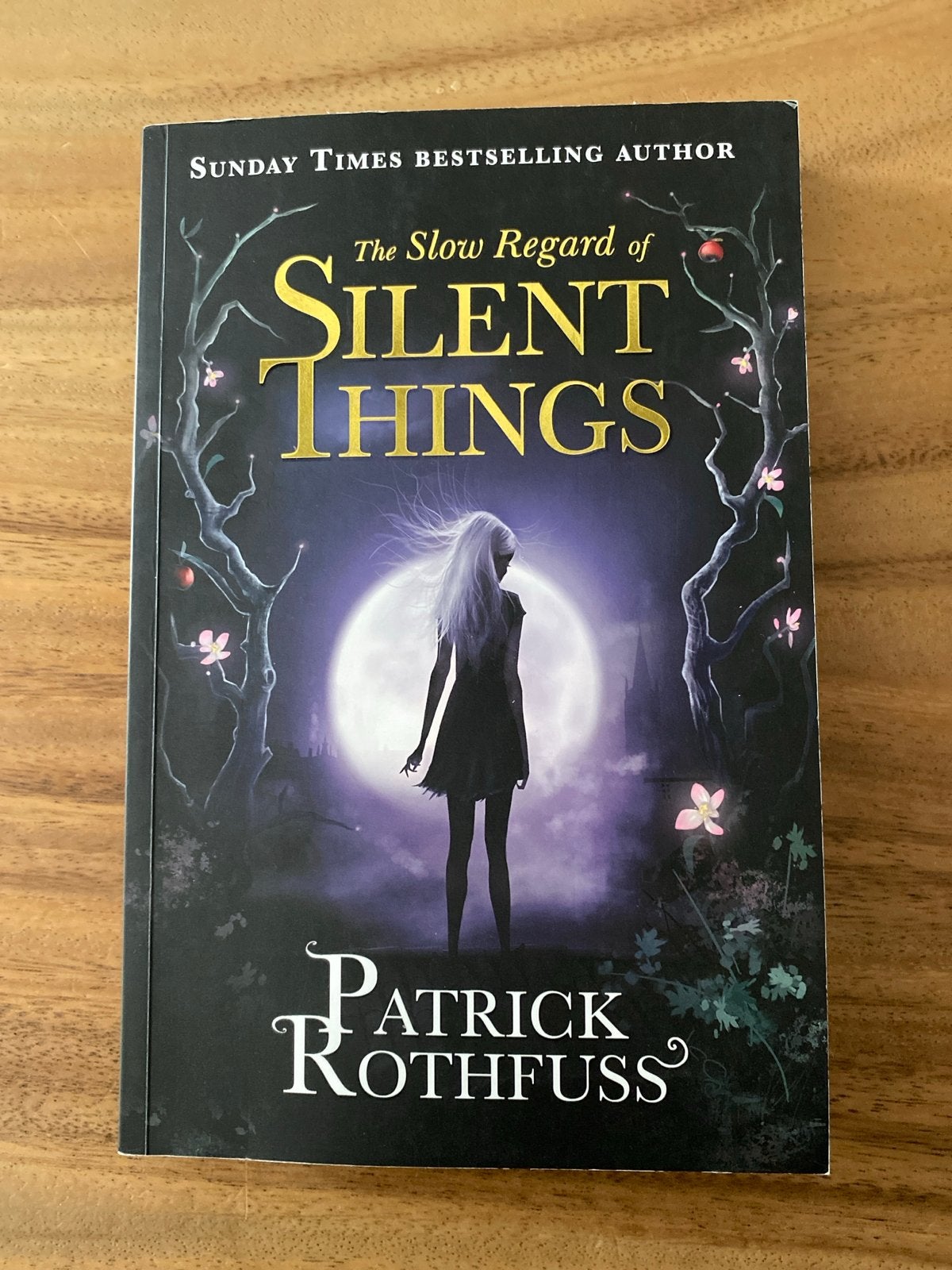 The Slow Regard of Silent Things - Patrick Rothfuss, Ophalen of Verzenden, Zo goed als nieuw