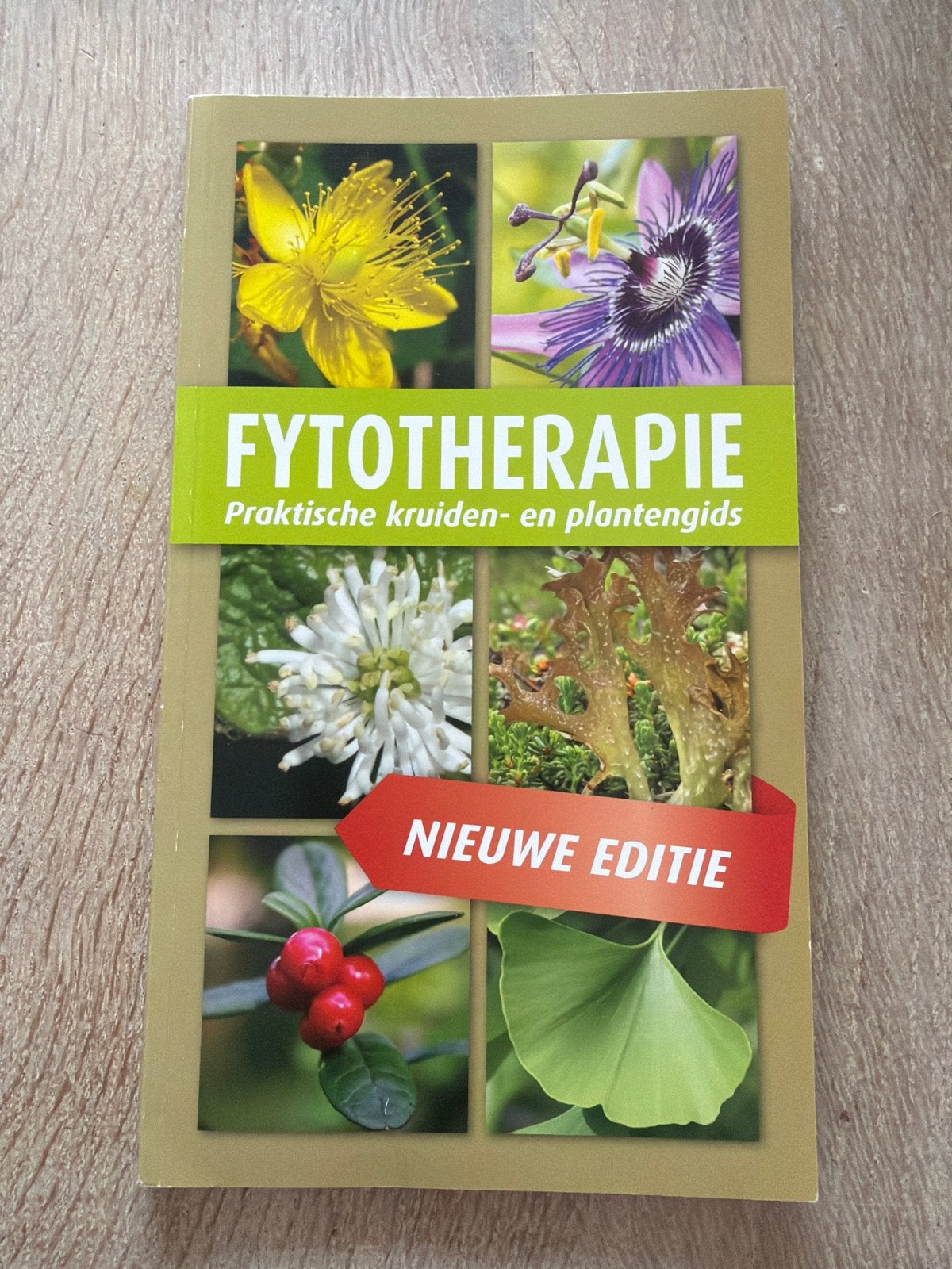 Fytotherapie: Praktische kruiden- en plantengids, Boeken, Ophalen of Verzenden, Zo goed als nieuw, Kruiden en Alternatief