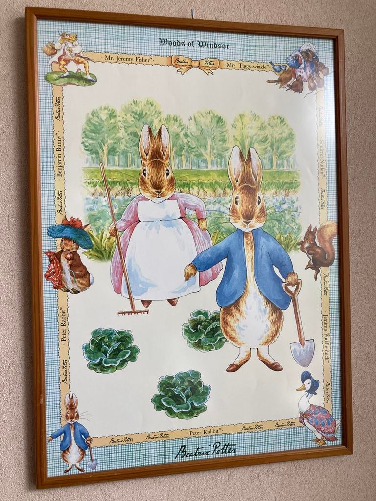 Beatrix Potter prent schilderij, Ophalen of Verzenden