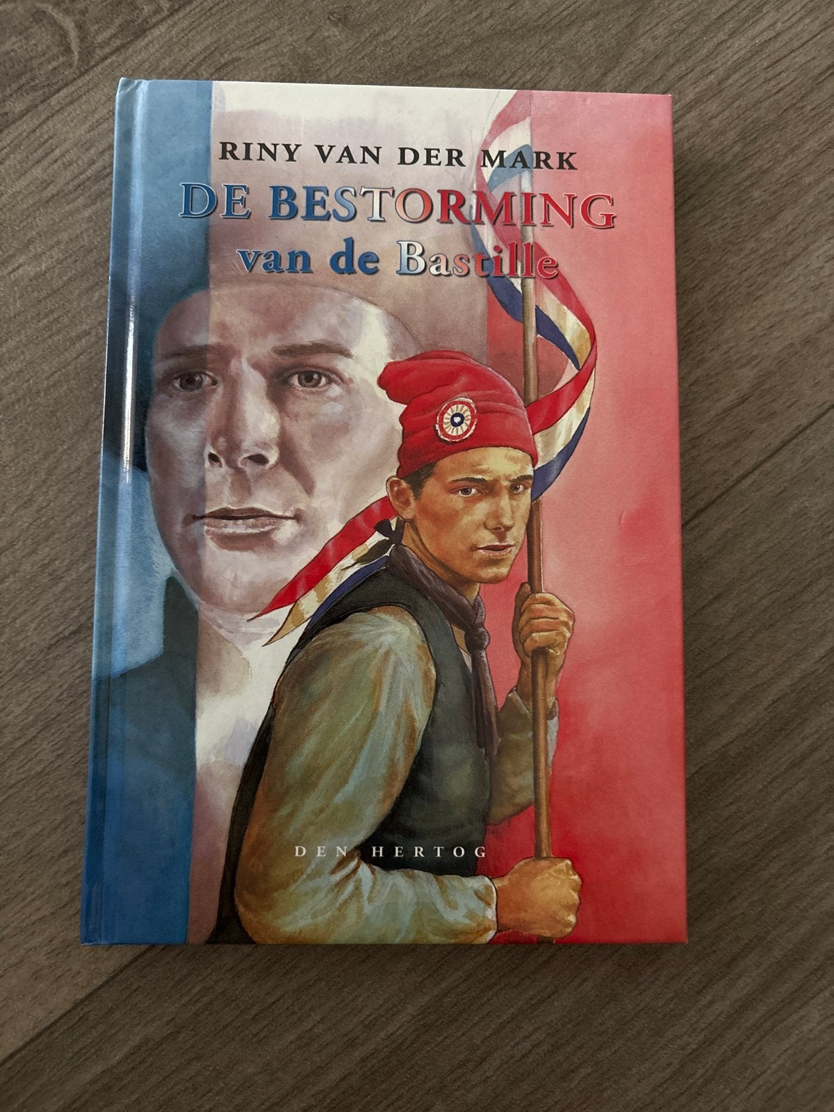 De Bestorming van de Bastille - Riny van der Mark, Boeken, Ophalen of Verzenden, Zo goed als nieuw, Fictie