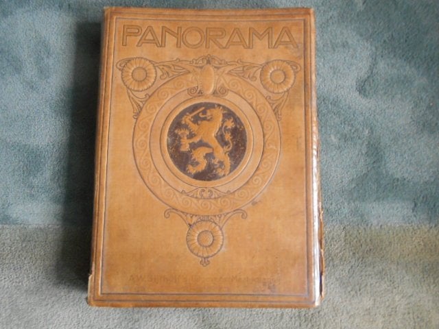 HISTORISCH VERZAMEL BOEK PANORAMA 1917, Ophalen of Verzenden, Gelezen, Overige typen