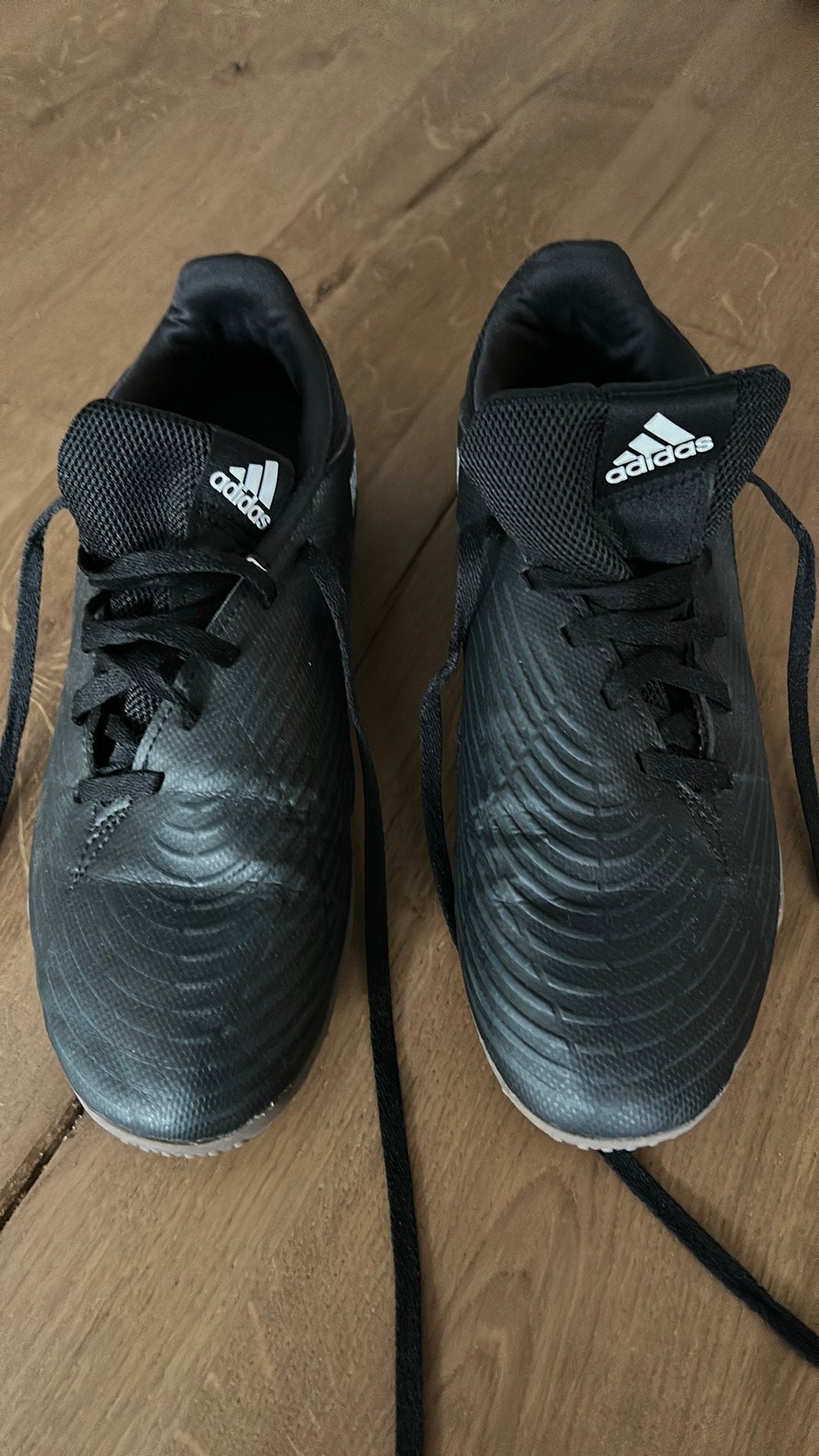 Adidas zaal schoenen, Maat XS of kleiner, Ophalen, Zo goed als nieuw, Schoenen