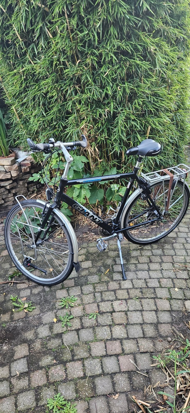 Giant expedition trekkingfiets, Ophalen, Gebruikt, Velgrem, Versnellingen