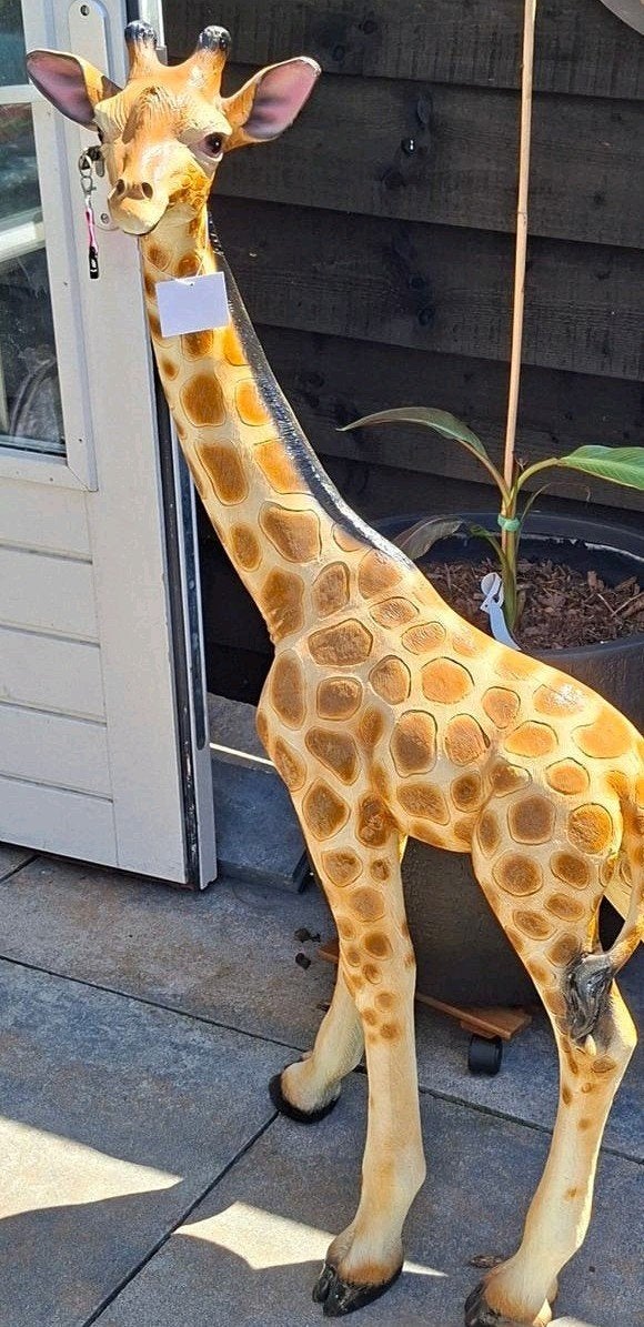 Super mooie giraffe beeld xxl, Tuin en Terras, Tuinbeelden, Ophalen, Nieuw, Kunststof