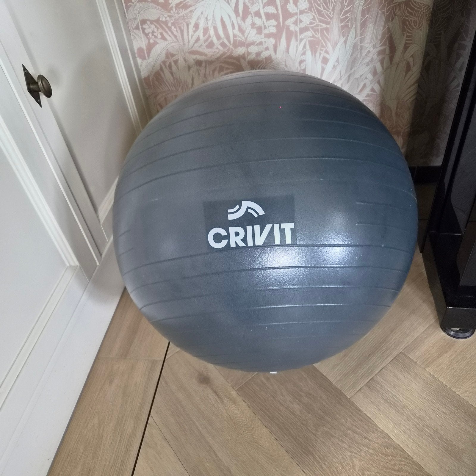 Crivit Gymnastiekbal / Zwangerschapsbal, Ophalen, Zo goed als nieuw, Buik, Fitnessbal