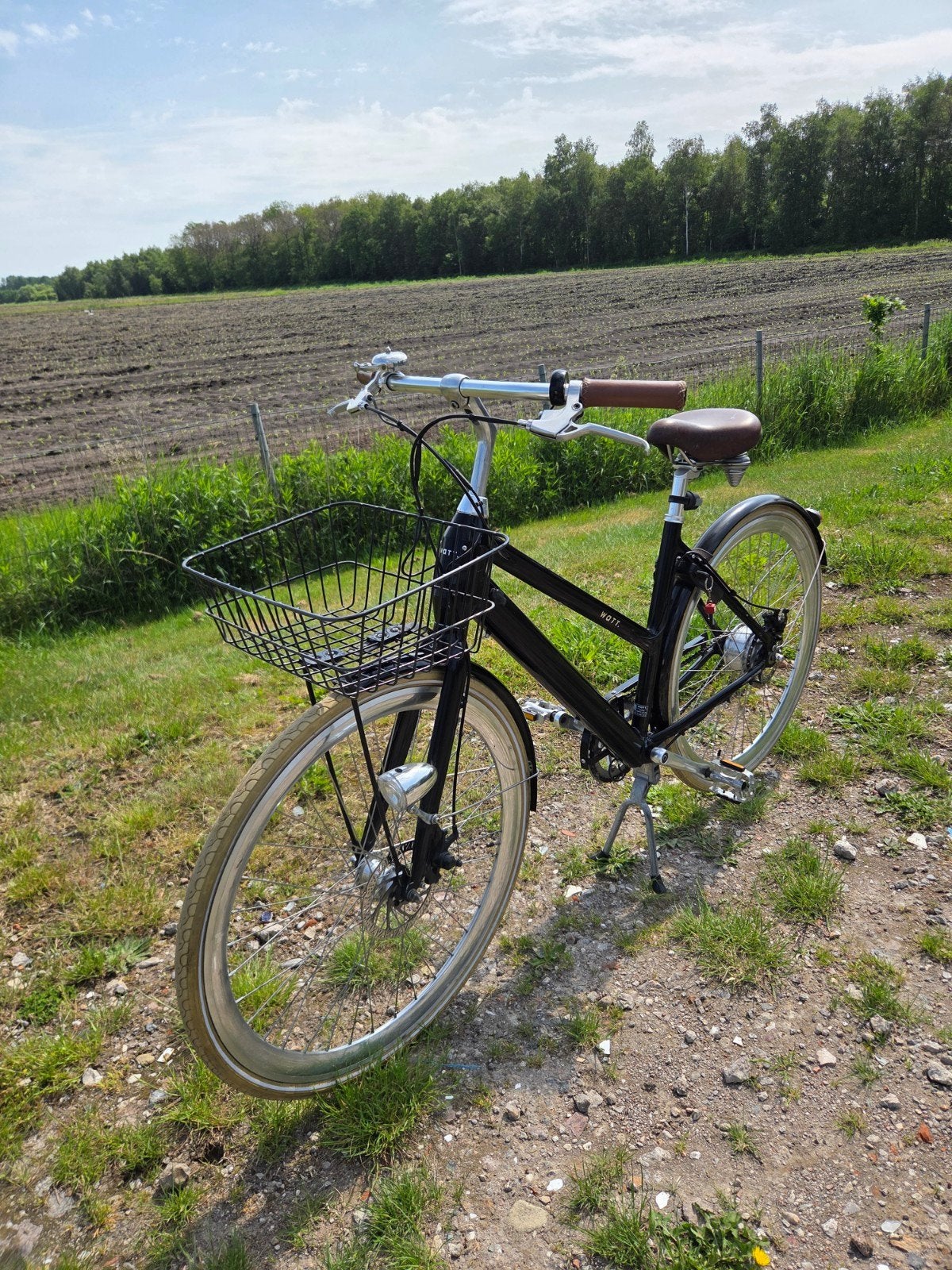 Watt Boston E-bike Damesfiets 48 cm - Zo goed als nieuw, (Extra) lage instap, 47 tot 50 cm, Zo goed als nieuw, Schijfrem