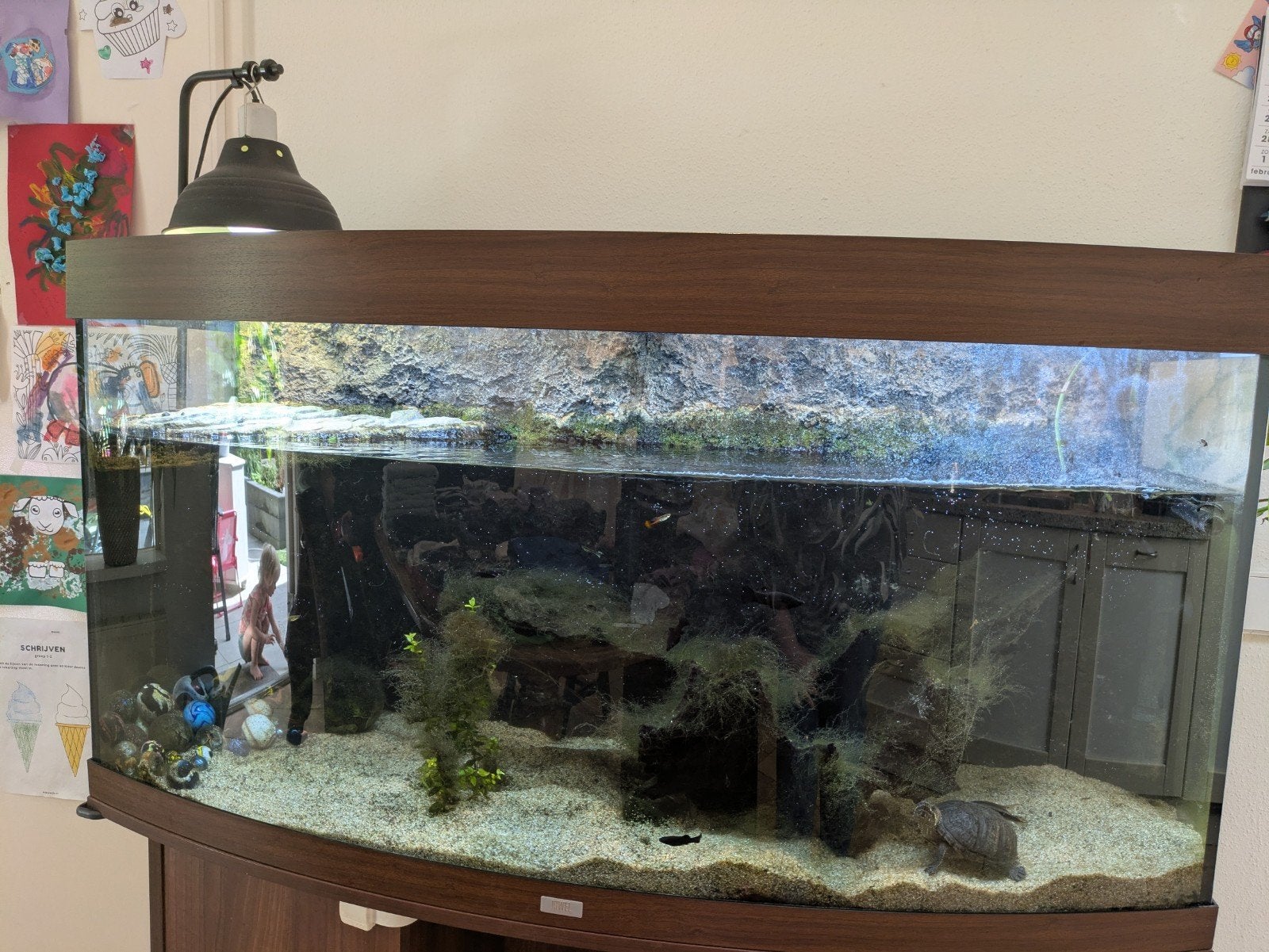 Complete Juwel Vision 260, Dieren en Toebehoren, Ophalen, Gebruikt, Inclusief toebehoren, Gevuld zoetwateraquarium