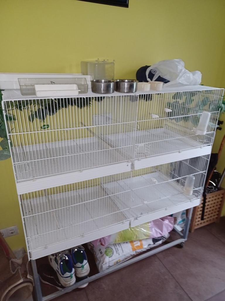 Broedtoren xl op aluminium verijdbaar onderstel, Dieren en Toebehoren, Vogels | Hokken en Kooien, Ophalen of Verzenden, Zo goed als nieuw