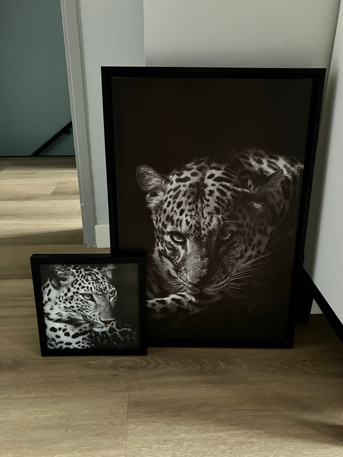 Set van 2 Luipaard Prints - Zwart-wit, Huis en Inrichting, Ophalen, 50 – 75, 50 tot 75 cm, Print