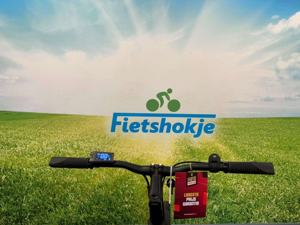 Fietshokje Amersfoort: Nieuwe Raaks Urban E-Bike, Fietsen en Brommers, Elektrische fietsen, Niet ingevuld, Nieuw, Ophalen of Verzenden