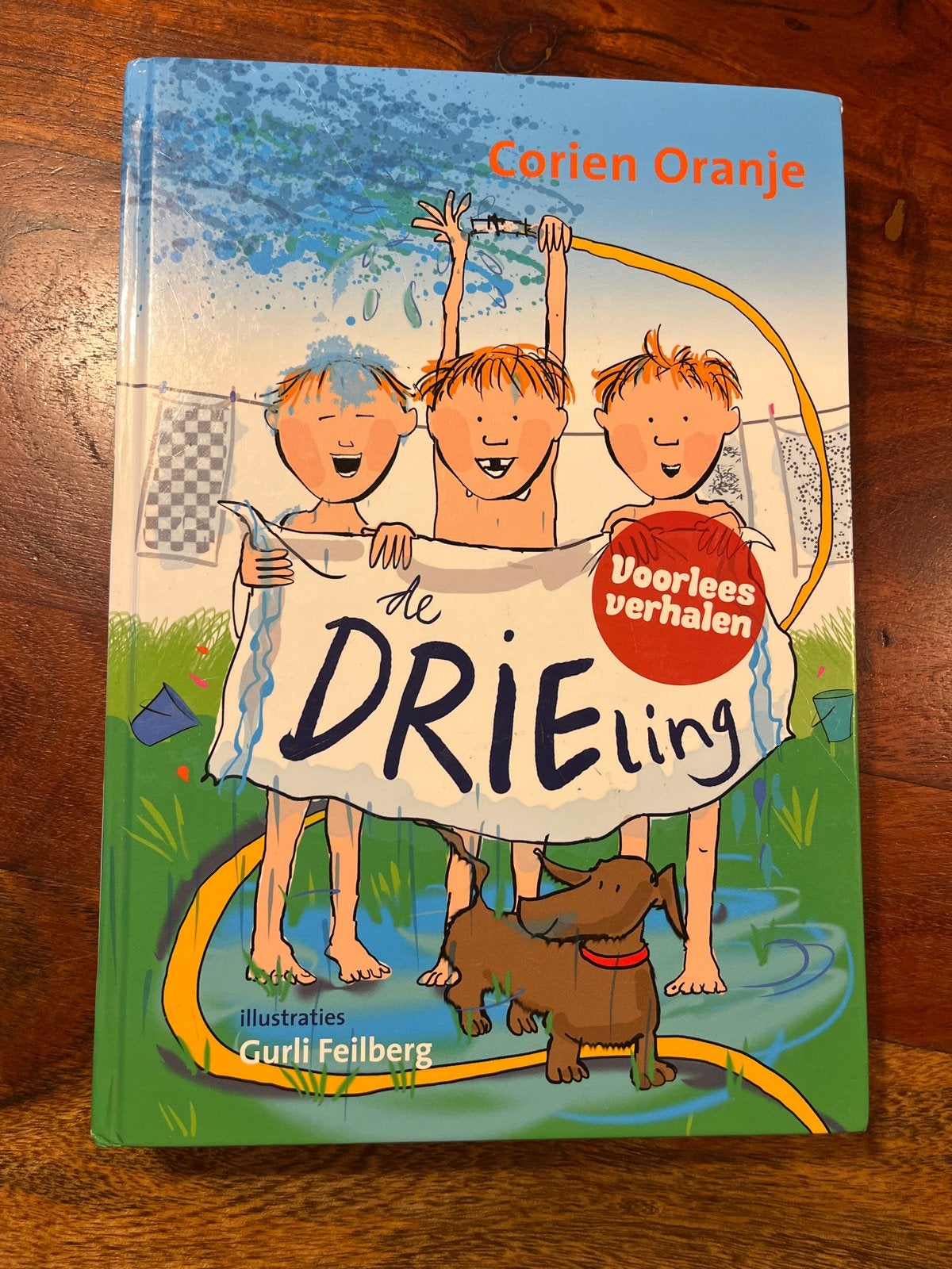 Corien Oranje - De drieling, Boeken, Gelezen, Fictie algemeen, Ophalen of Verzenden, Corien Oranje