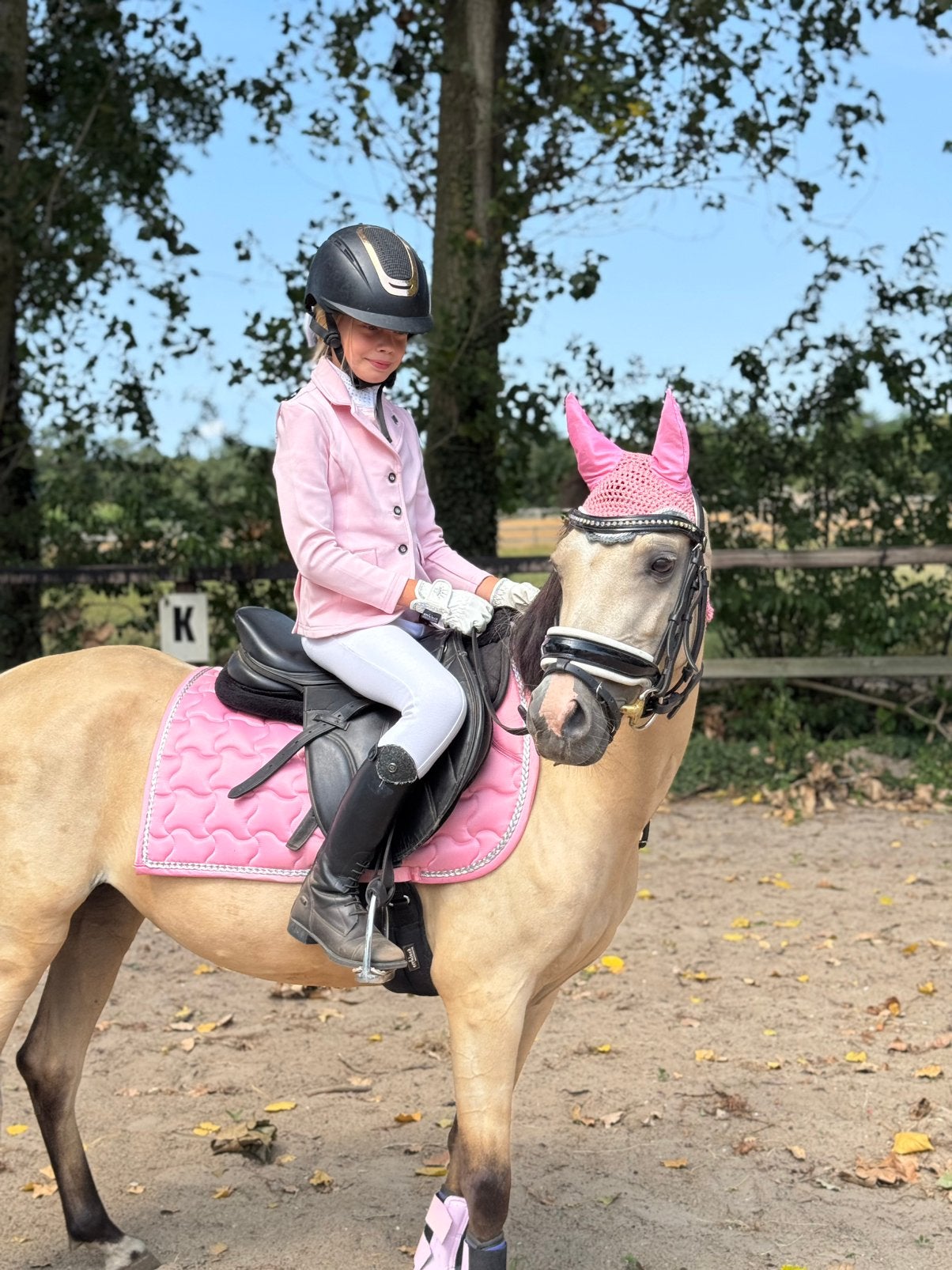 Super brave B, VALK pony, Merrie, B pony (1.17m tot 1.27m), Met stamboom, 3 tot 6 jaar