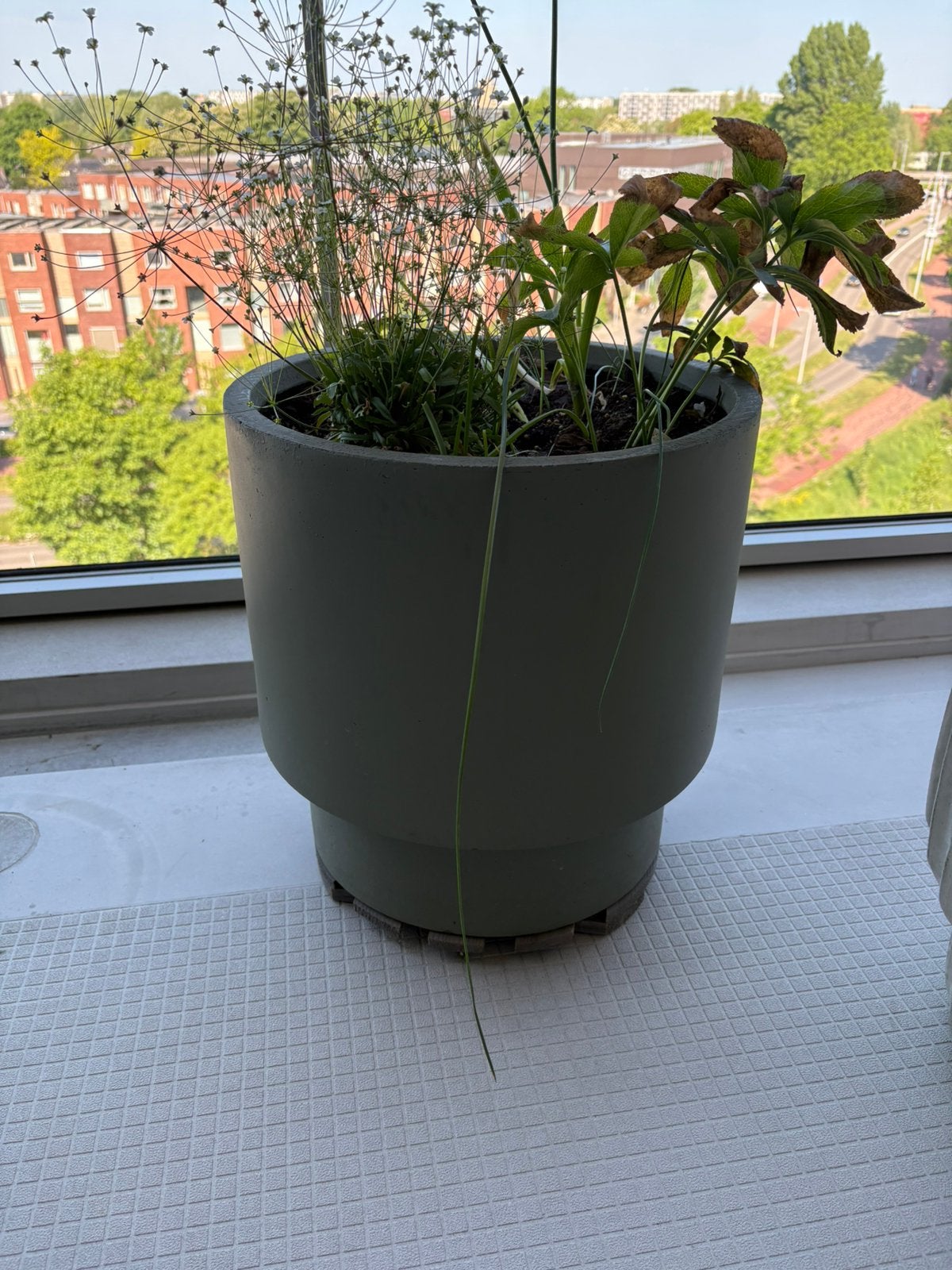 Pot groen, Overige materialen, Gebruikt, Rond, Minder dan 40 cm