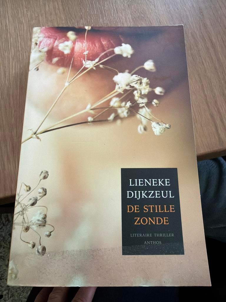 HKR.  De Stille Zonde - Lieneke Dijkzeul ( Thriller), Boeken, Ophalen of Verzenden, Zo goed als nieuw, Nederland