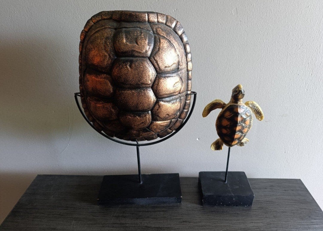Schildpadden woondecoratie, Ophalen, Zo goed als nieuw, Dier