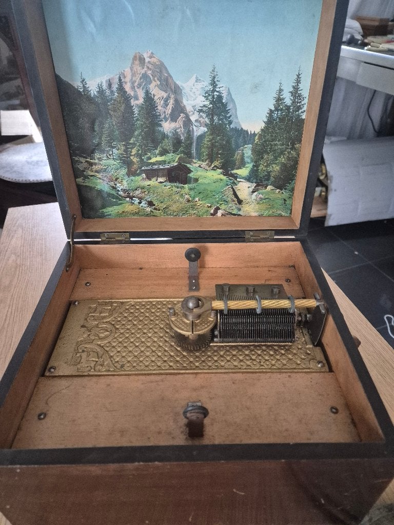Kalliope platenspeeldoos muziekdoos (manivelle), Ophalen