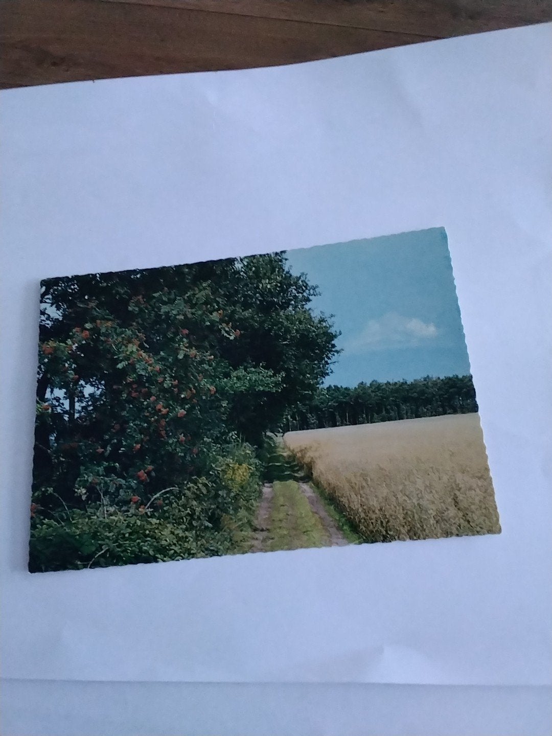 Oude ansichtkaart 'Groeten uit Paterswolde' - Gelopen, Ophalen of Verzenden, 1960 tot 1980, Gelopen
