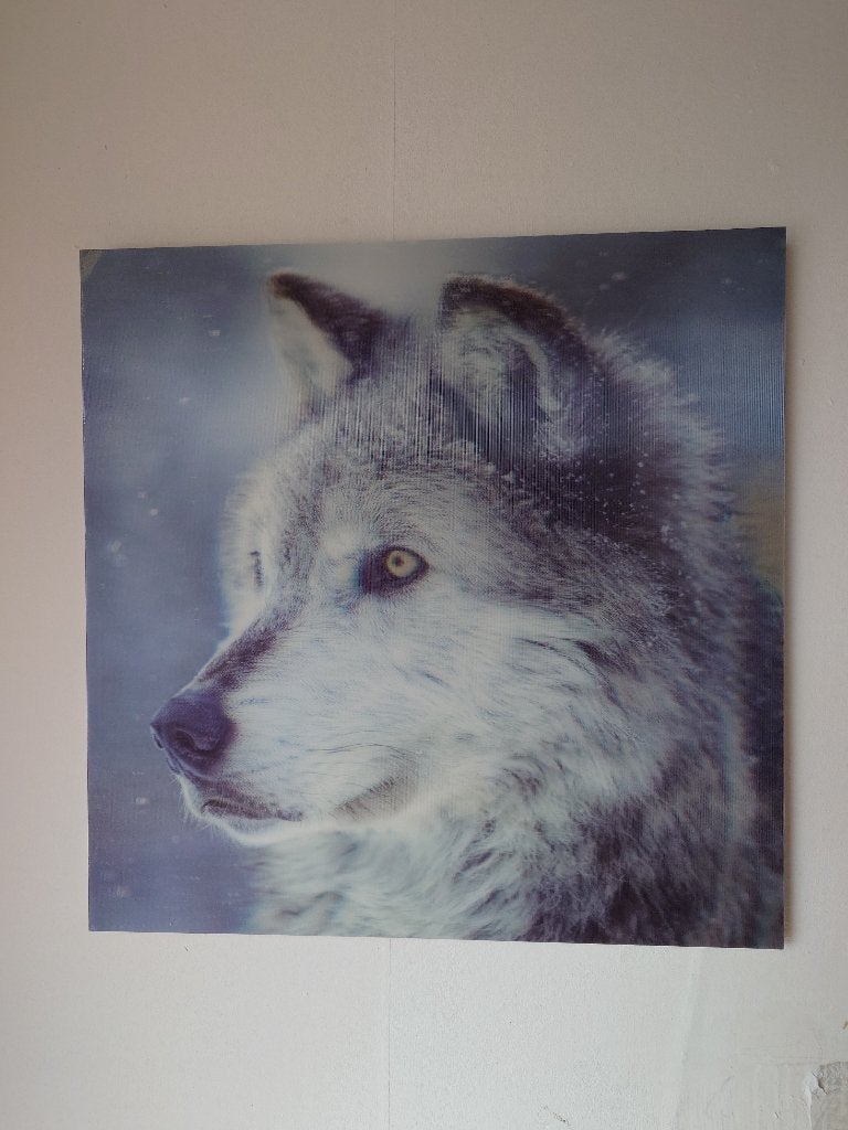 3D Wanddecoratie Wolf - Prachtige Dierenprint, Gebruikt, Decoratieobject, Ophalen of Verzenden, Kunststof