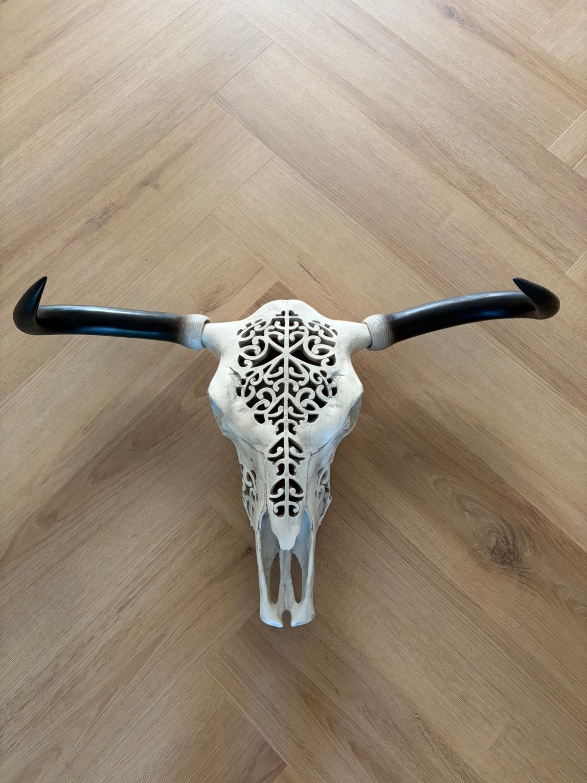 Een grote longhorn schedel : decoratie, Ophalen, Zo goed als nieuw