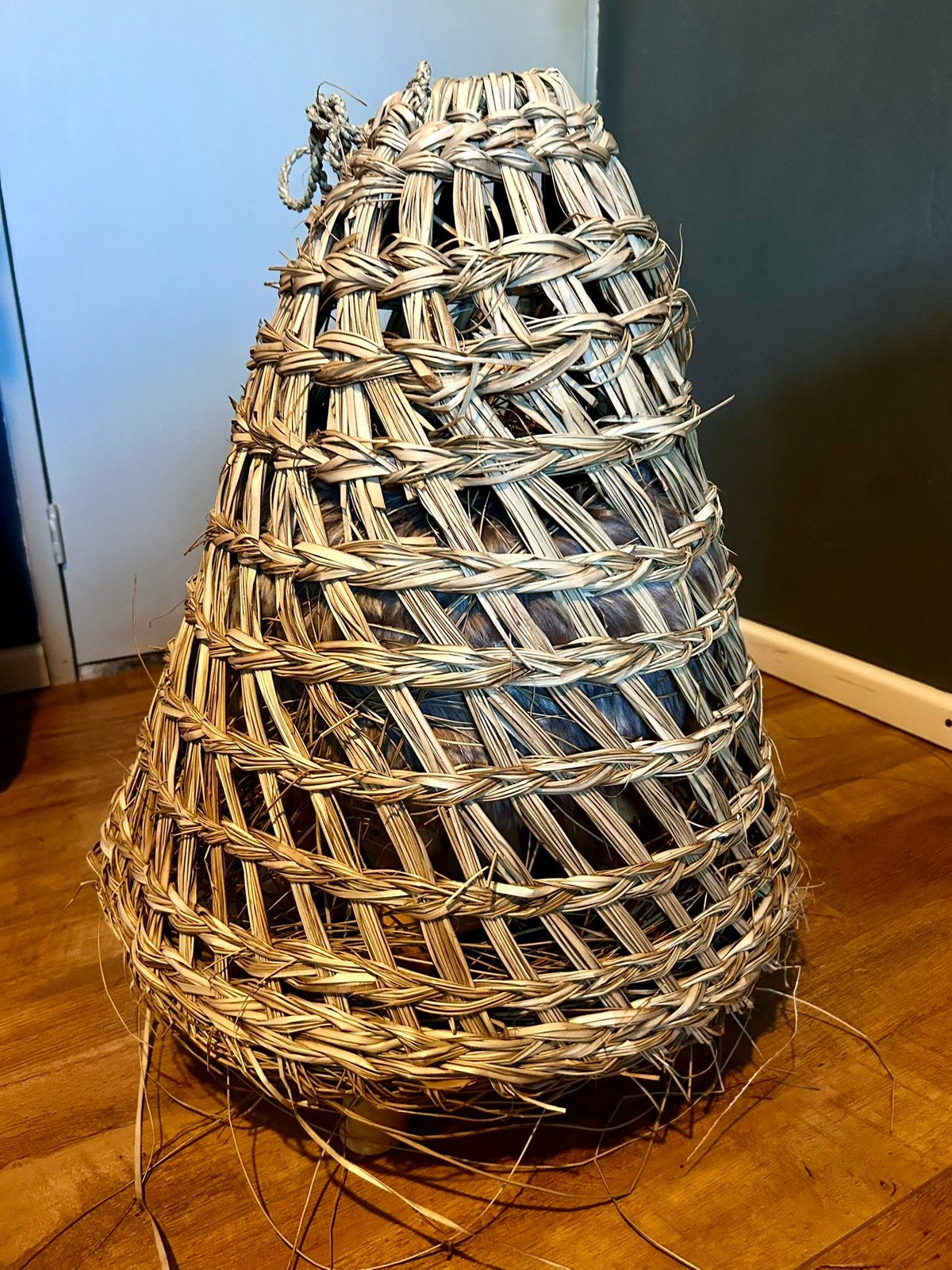 Nieuwe Grote Zeegras Hangkap - Natuurlijke Sfeermaker, Overige materialen, Boho, Nieuw, Ophalen of Verzenden