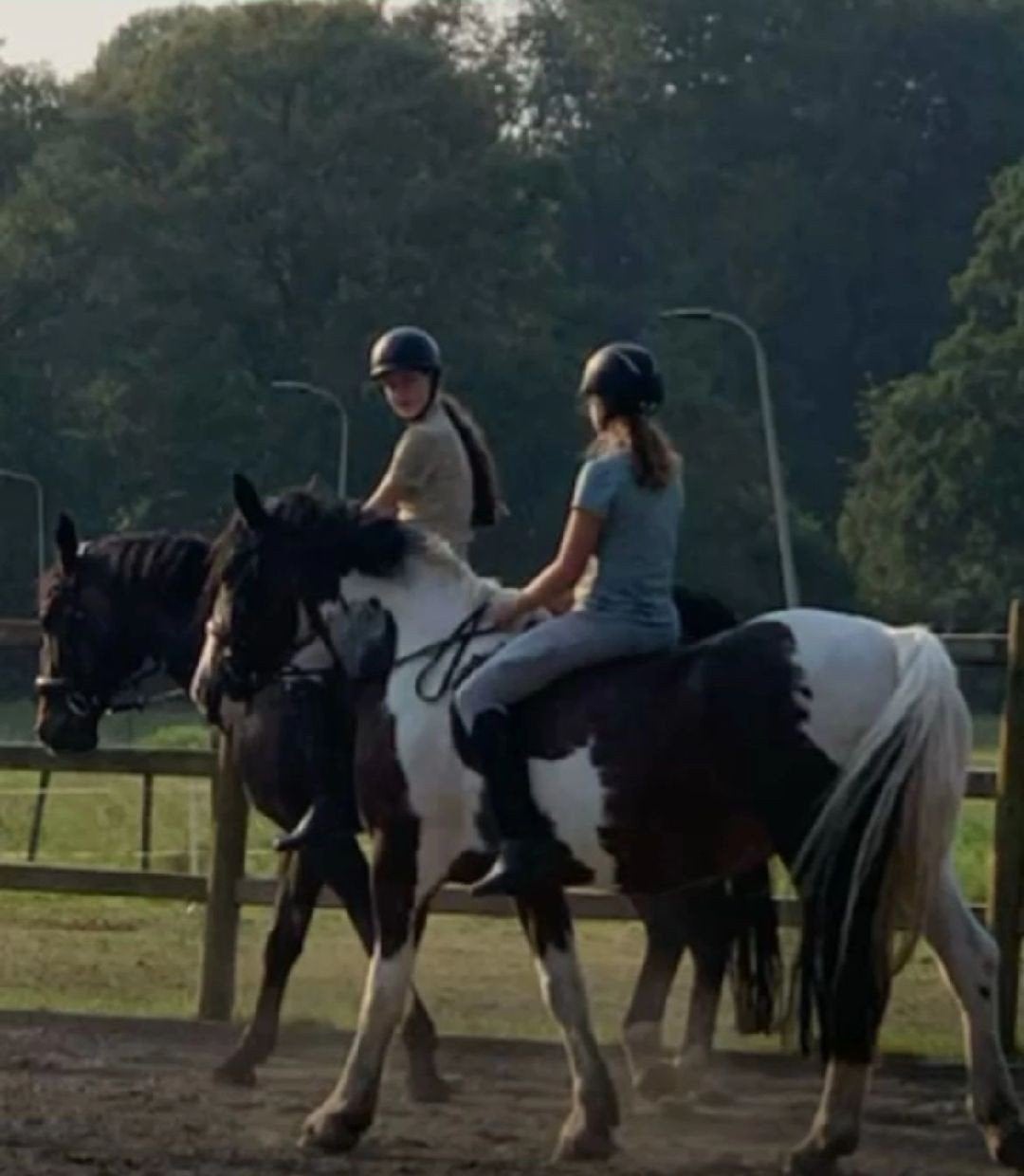 Bijrijd of lease paard/pony gezocht omgeving Enschede, Ophalen of Verzenden