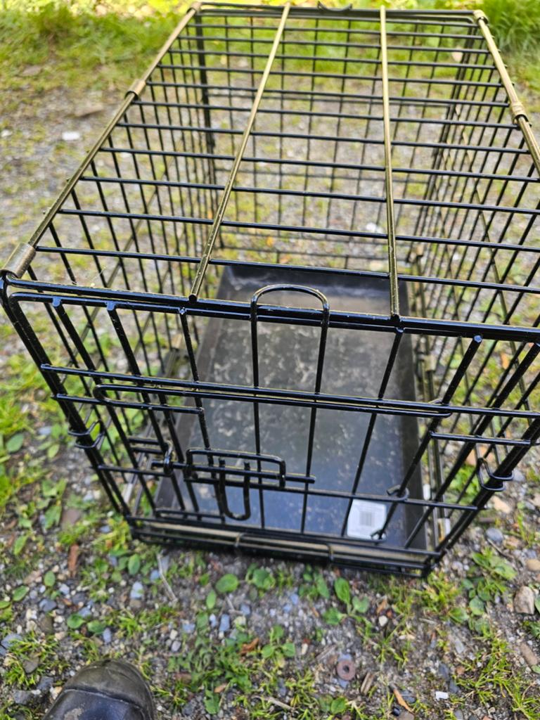 Honden bench  te koop, Ophalen of Verzenden, Minder dan 75 cm, Minder dan 65 cm