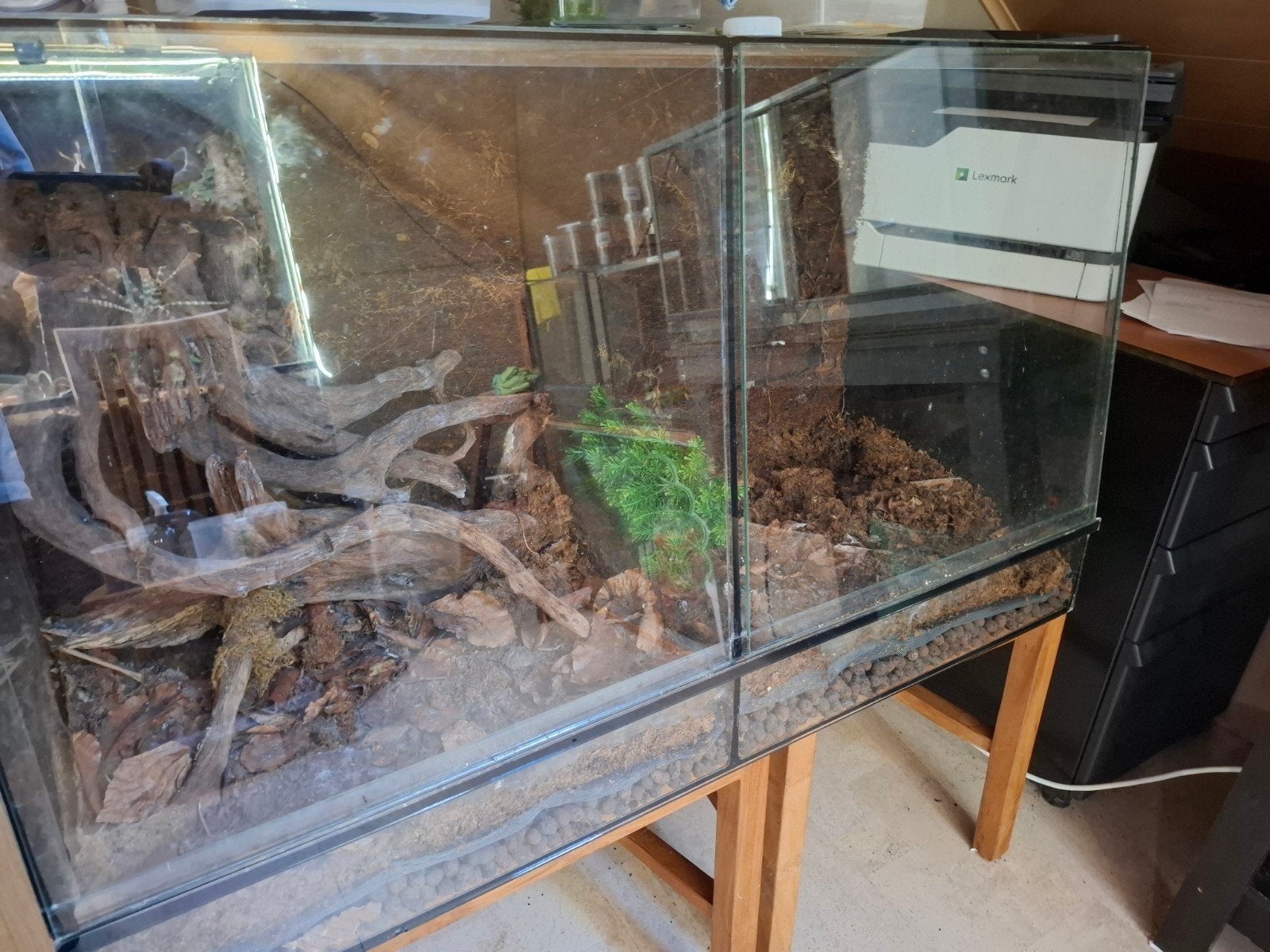 Groot dubbel Terrarium, Ophalen, Gebruikt, Terrarium of Paludarium