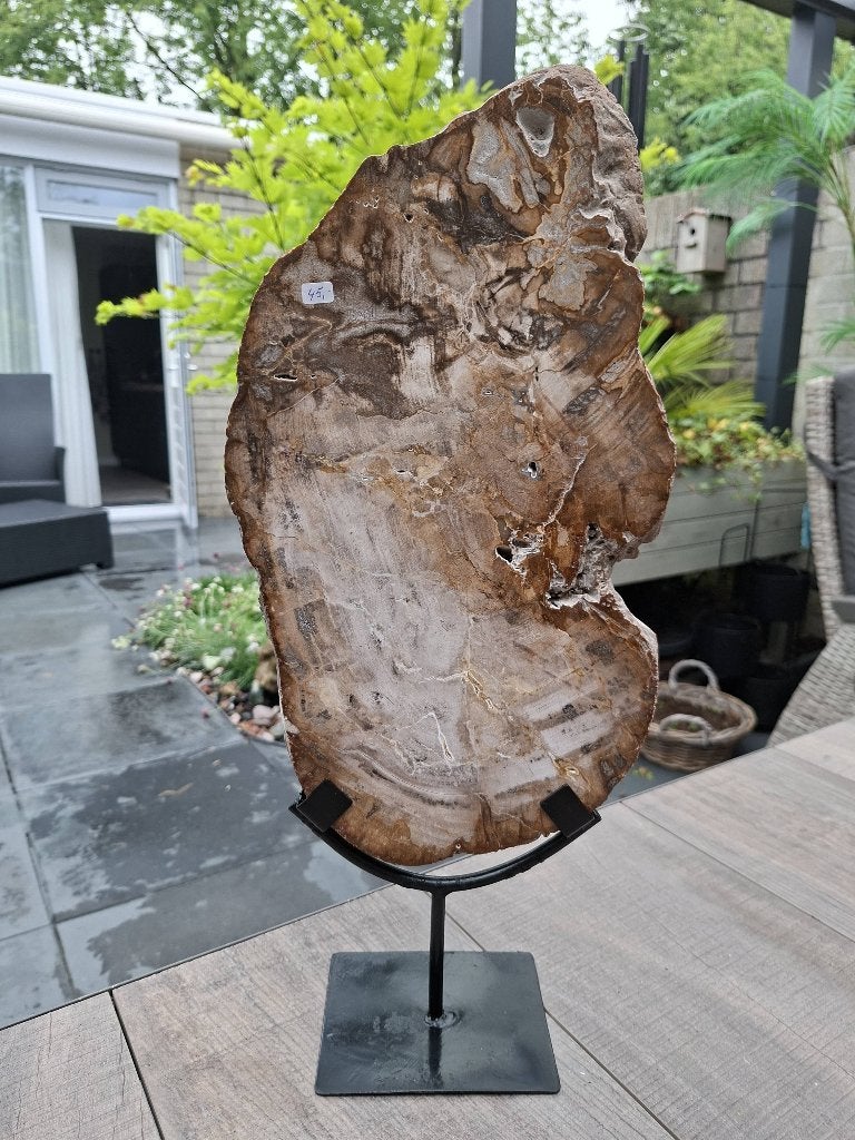 Versteend hout op standaard no 1, Ophalen of Verzenden, Mineraal