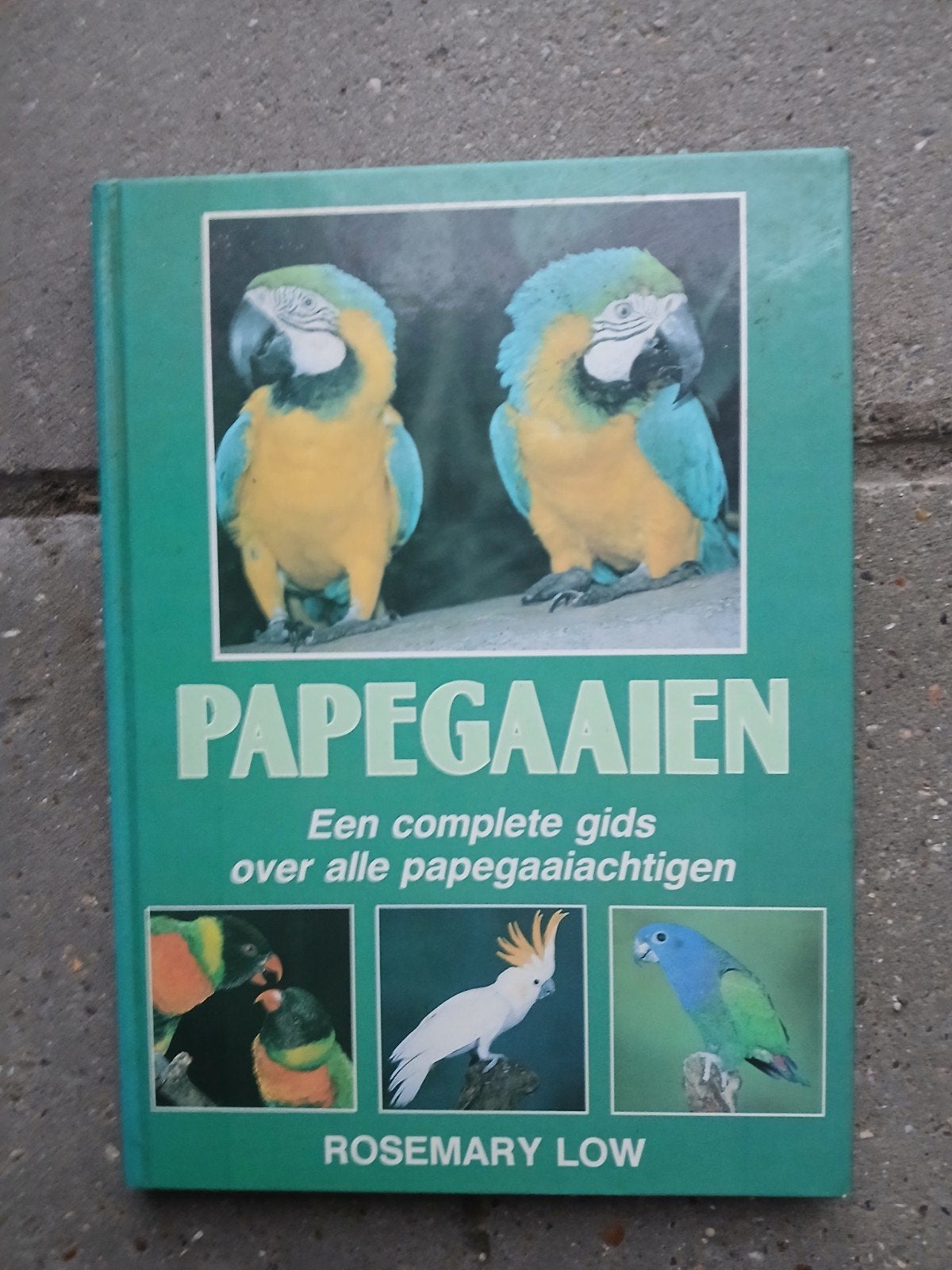 Boek over papegaaien., Ophalen, Zo goed als nieuw, Vogels, Lesly Young