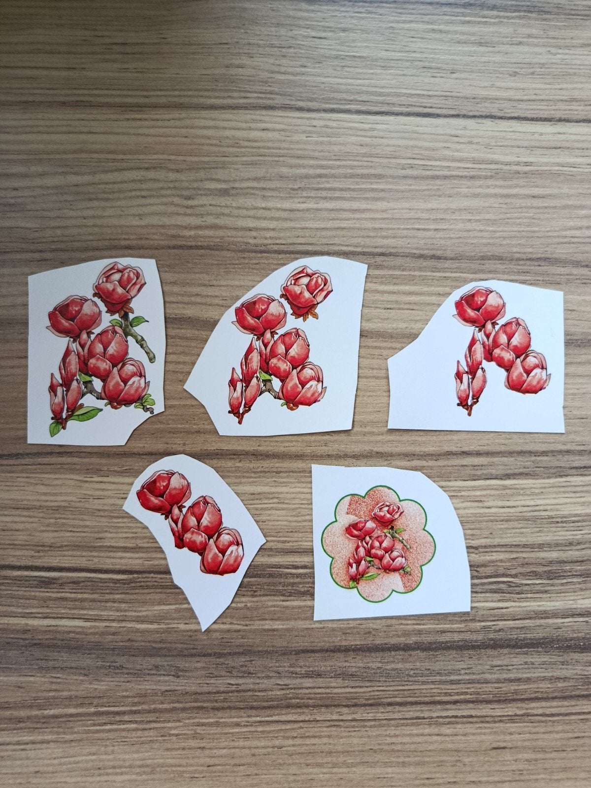 3D knipveltjes tulpen,, Ophalen of Verzenden, Nieuw, Overige thema's, Overige typen