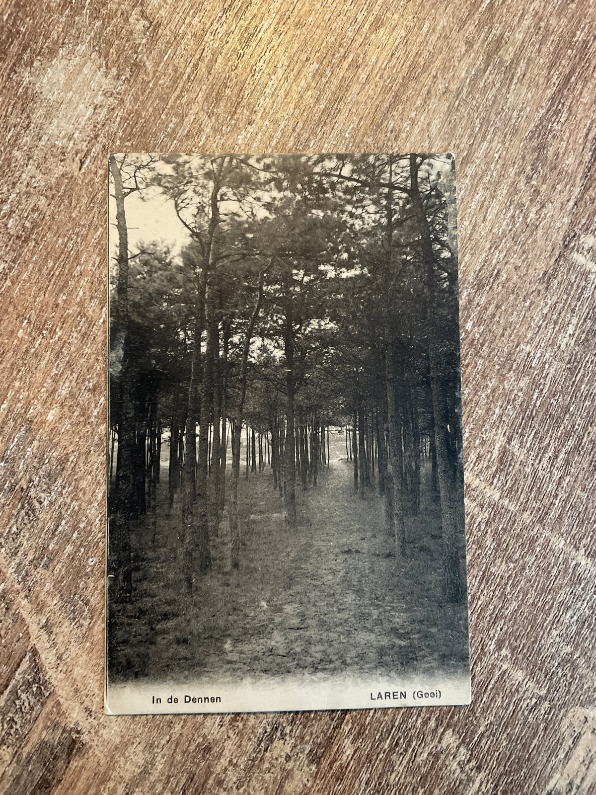 Oude Postkaart 'In De Dennen' Laren (Gooi) - Gelopen, Ophalen of Verzenden, Gelopen