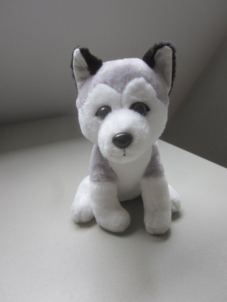Pets2Cuddle TCC Global grijs-witte poolhond knuffel mooie og, Overige merken, Overige karakters, Nieuw, Wasbaar