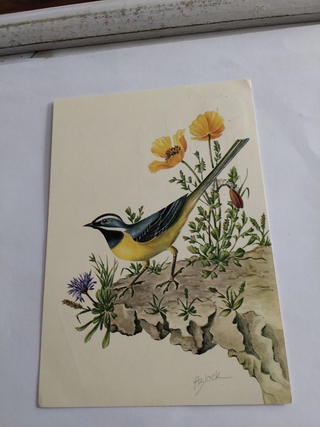 Vintage kaart: Gele Kwikstaart met Bloemen A. Block  1964, Ophalen of Verzenden