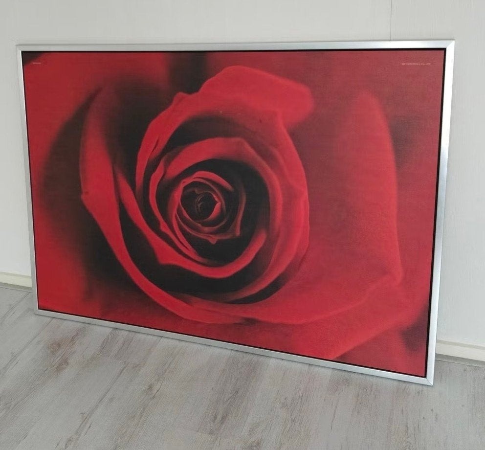 IKEA Schilderij "De Roos", Antiek en Kunst, Kunst | Schilderijen | Modern, Ophalen, Overige materialen, Overige technieken, Bloemen