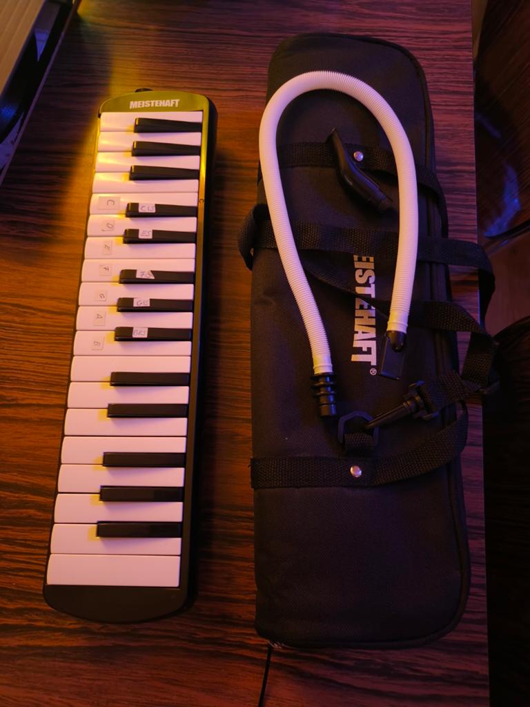 Meistehaft melodica, Ophalen of Verzenden, Zo goed als nieuw