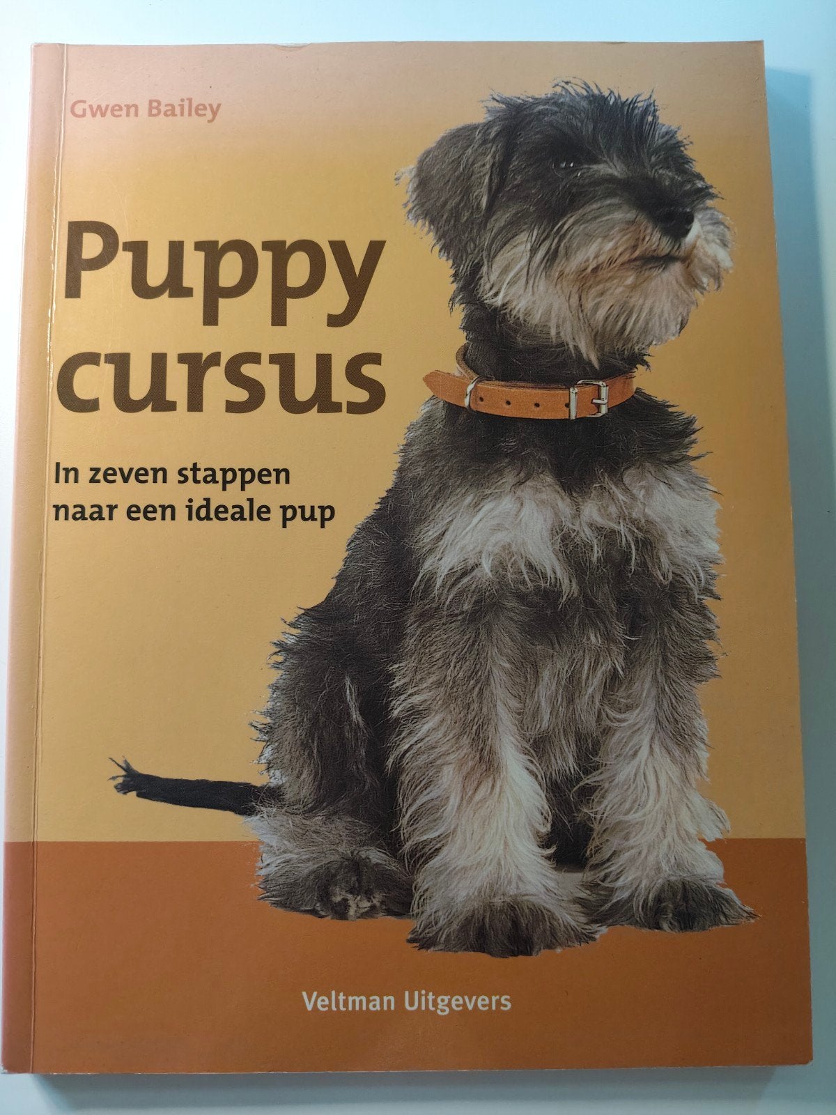 Gwen Bailey - Puppycursus, Boeken, Honden, Ophalen of Verzenden, Zo goed als nieuw, Gwen Bailey
