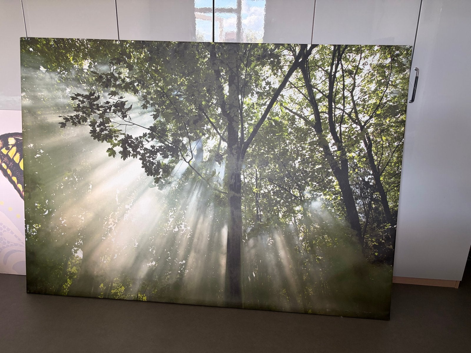 Ikea Canvas Schilderij: Zonnestralen in het Bos, Ophalen, 125 cm of meer, Zo goed als nieuw, Schilderij