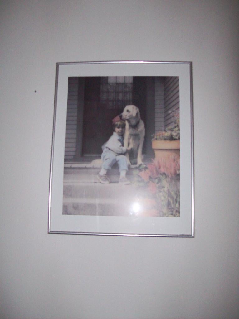 Poster in lijst, Ophalen, Minder dan 50 cm, 50 tot 75 cm, Nieuw