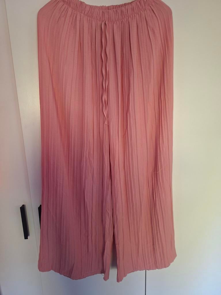 Licht roze plichè broek 42-48, Kleding | Dames, Grote Maten, Ophalen of Verzenden, Nieuw, Roze, Broek of Spijkerbroek