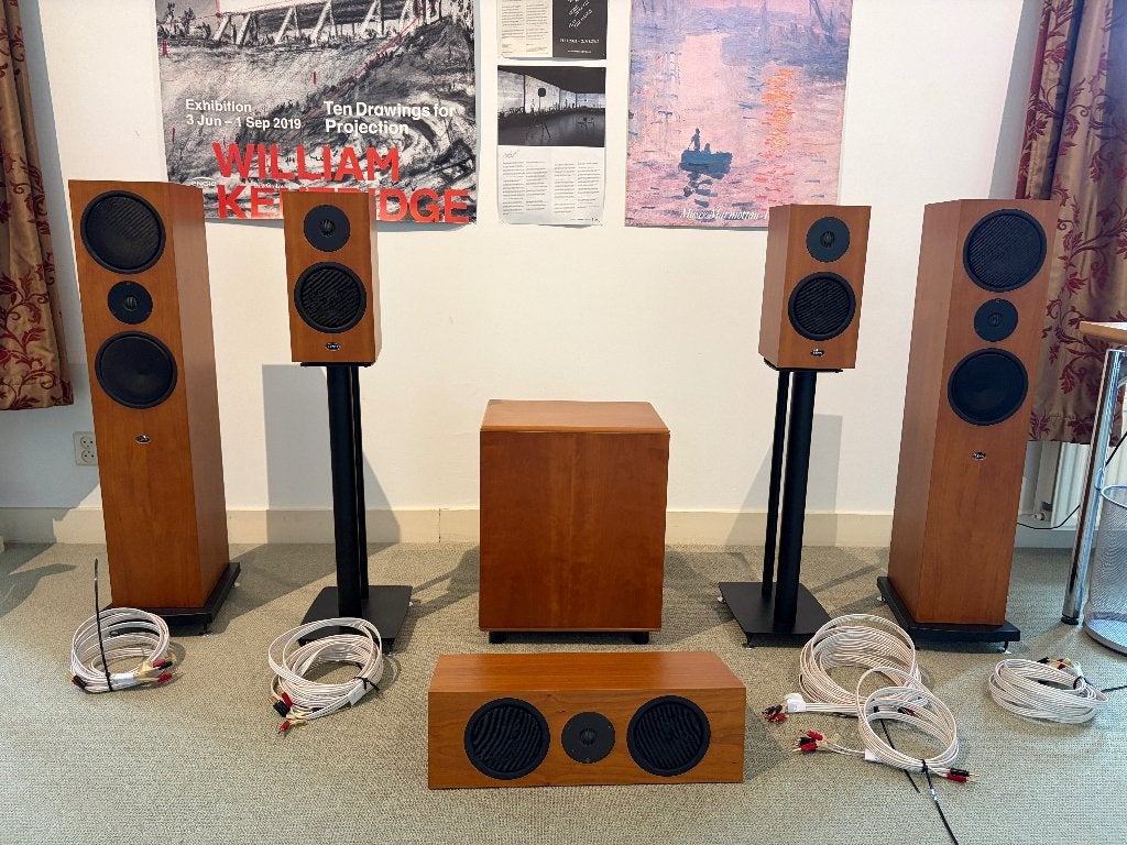 Linn luidspreker set Ninka Katan Trikan, REL Strata III, Speakerset, Zo goed als nieuw, Inclusief standaarden, Ophalen