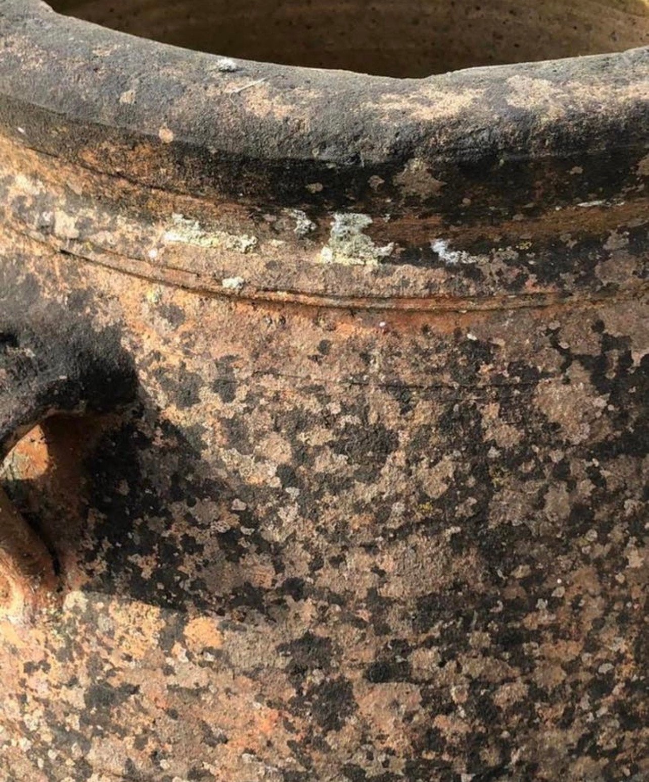 ZEER MOOIE OUDE GROTE OLIJfPOT, Tuin en Terras, Tuinvazen, Ophalen, Gebruikt
